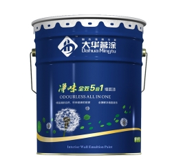 湖南超净味全效5合1墙面漆